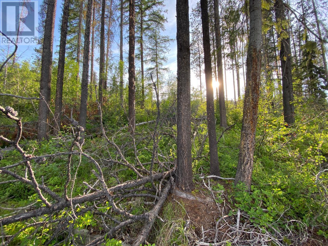 808 Deer Run Drive, Kimberley, British Columbia  V1A 3E9 - Photo 11 - 2471288