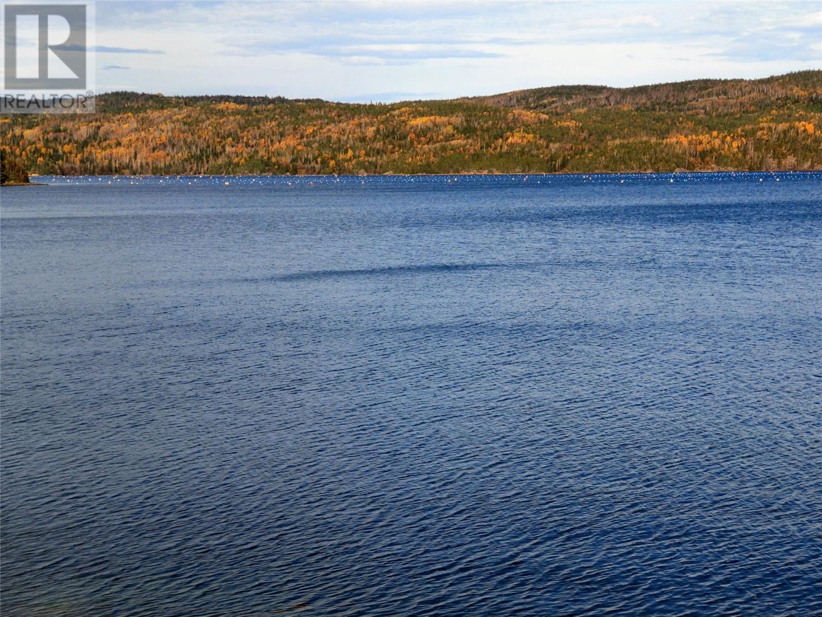 1 Route 380 Highway, Head Harbour, Newfoundland & Labrador  A0J 1V0 - Photo 14 - 1282310