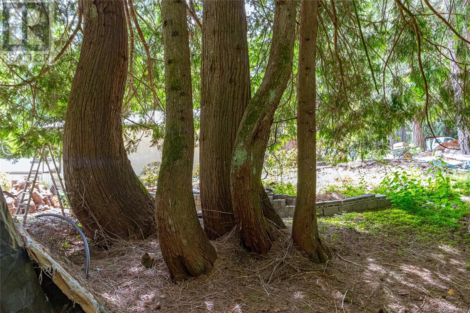 1425 Todd Lane, Metchosin, British Columbia  V9C 0A5 - Photo 76 - 1004384