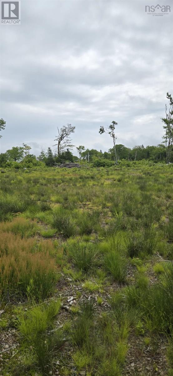 1138 Whycocomagh Mountain Road, Whycocomagh, Nova Scotia  B0E 3M0 - Photo 47 - 202512124