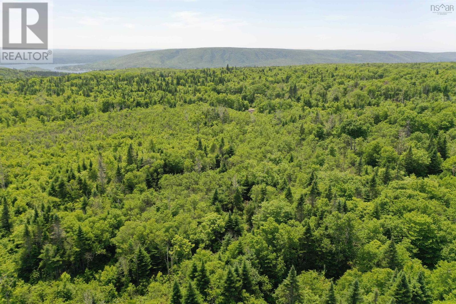 1138 Whycocomagh Mountain Road, Whycocomagh, Nova Scotia  B0E 3M0 - Photo 22 - 202512124