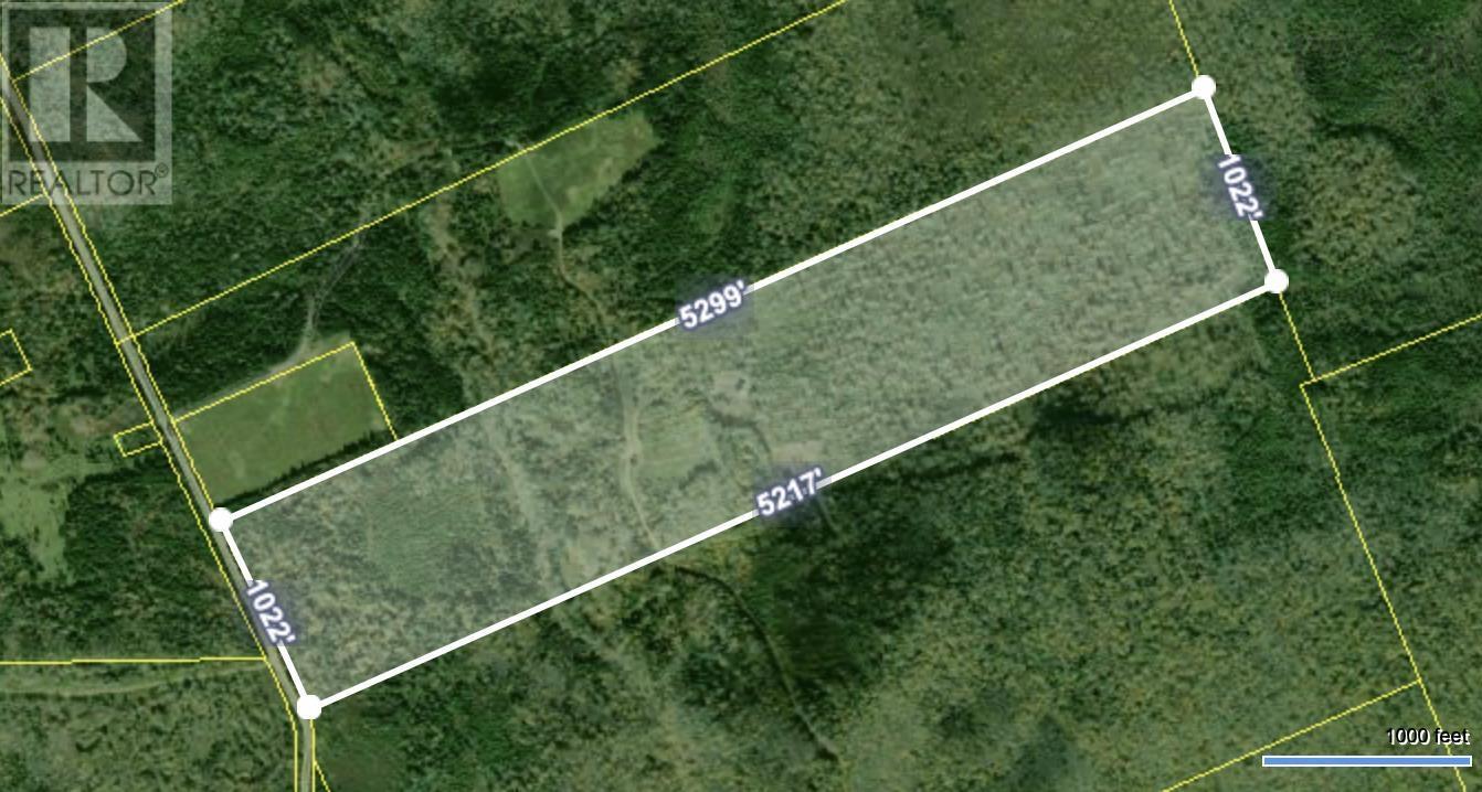 1138 Whycocomagh Mountain Road, Whycocomagh, Nova Scotia  B0E 3M0 - Photo 30 - 202512124