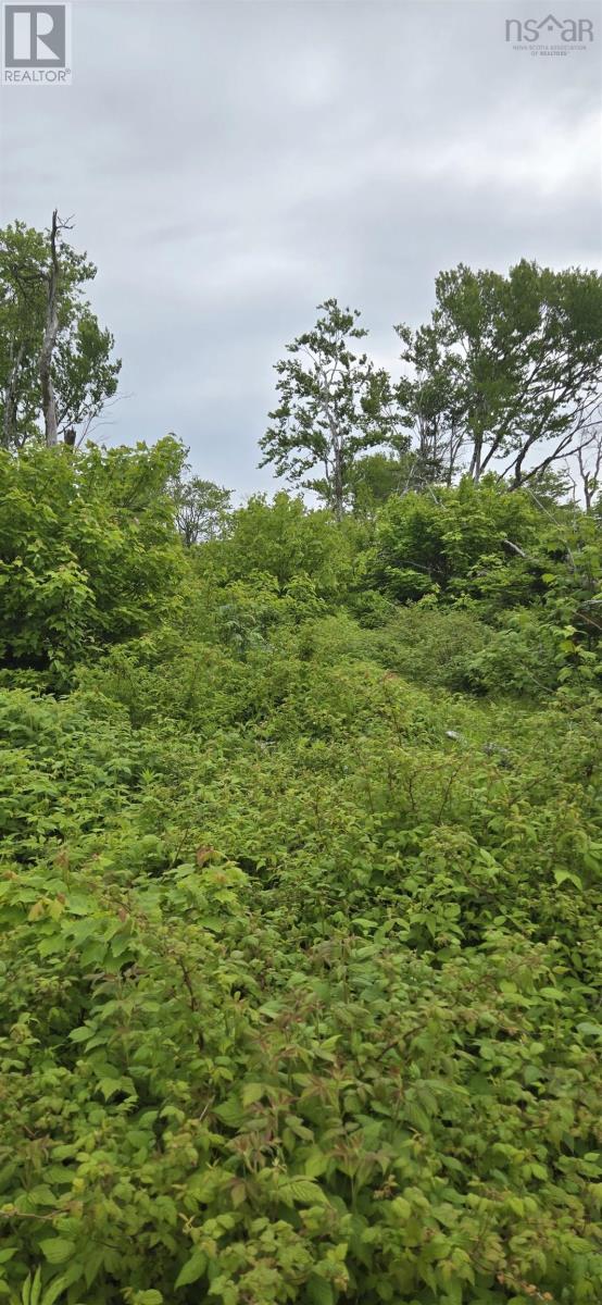 1138 Whycocomagh Mountain Road, Whycocomagh, Nova Scotia  B0E 3M0 - Photo 34 - 202512124