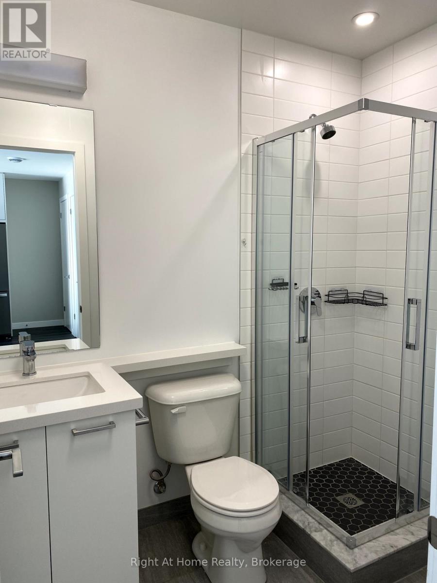 606 - 455 Charlton Avenue E, Hamilton, Ontario  L8N 0B2 - Photo 19 - X12243244