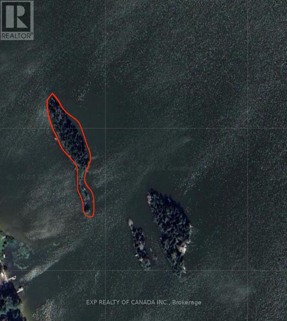 Island Sesekinika Lake, Kirkland Lake, Ontario  P0K 1S0 - Photo 9 - T12243307