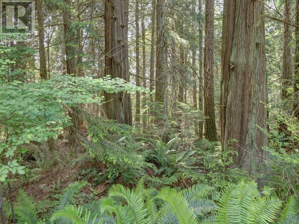 1317 Lockyer Road, Roberts Creek, British Columbia  V0N 2W1 - Photo 35 - R3019781