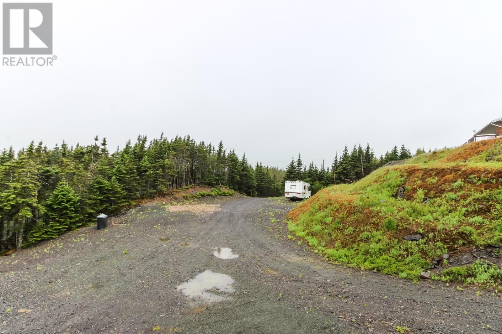 25 Ryan’s Pond W, Brigus Junction, Newfoundland & Labrador  A0B 1G0 - Photo 7 - 1286933