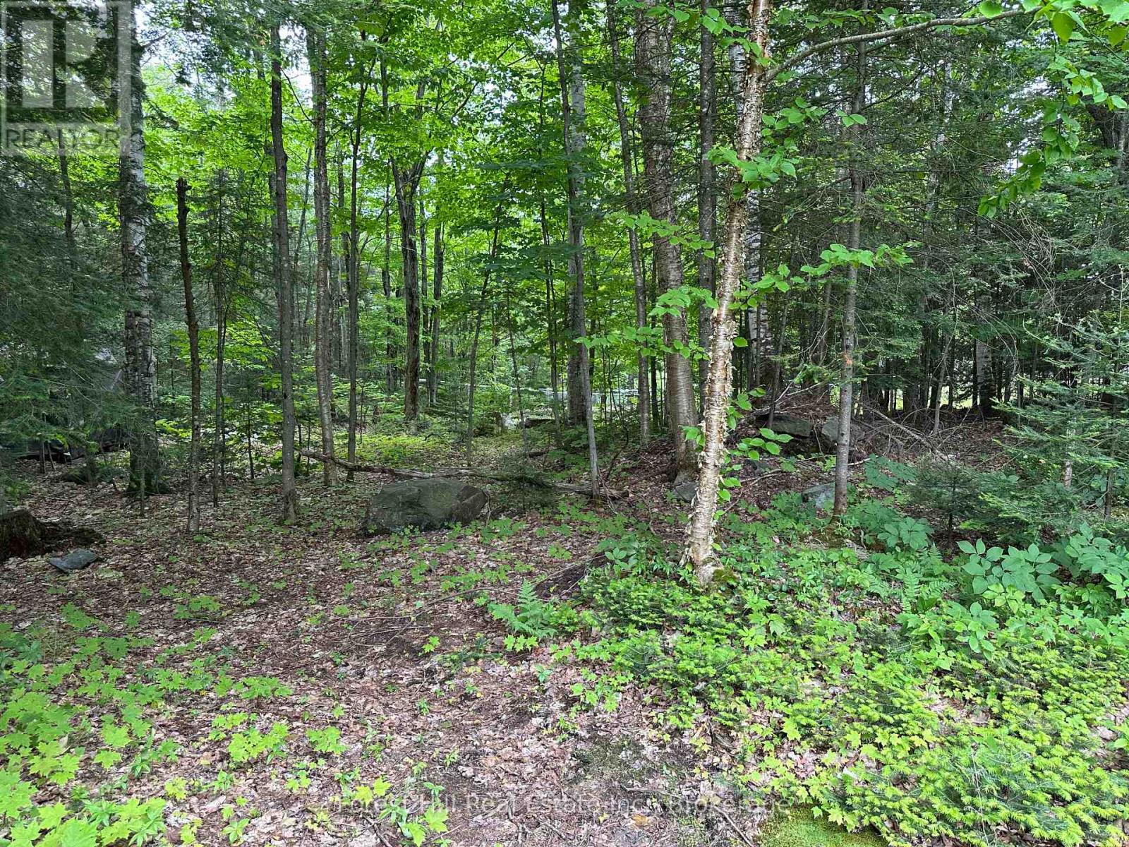 473 Carmichael Drive, North Bay, Ontario  P1B 8G2 - Photo 40 - X12243579