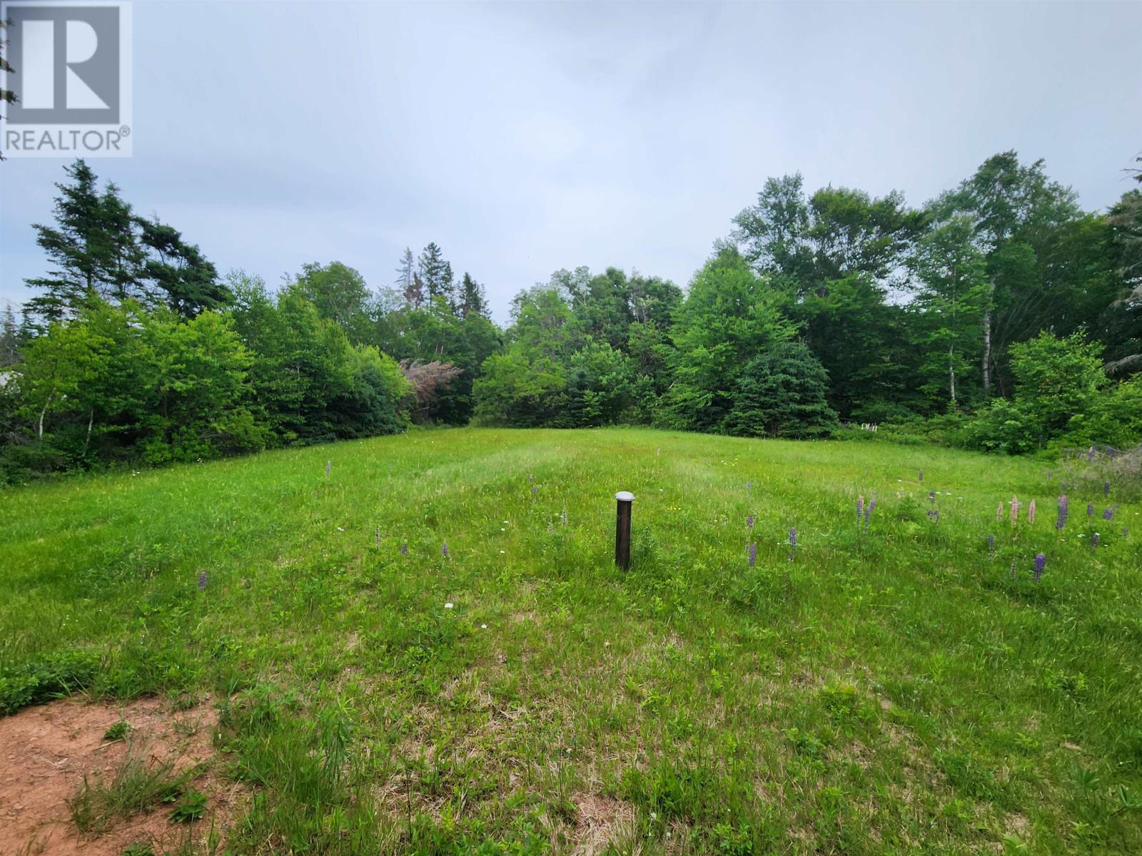 Acreage Gaspereaux Road, Gaspereaux, Prince Edward Island  C0A 1R0 - Photo 4 - 202515697