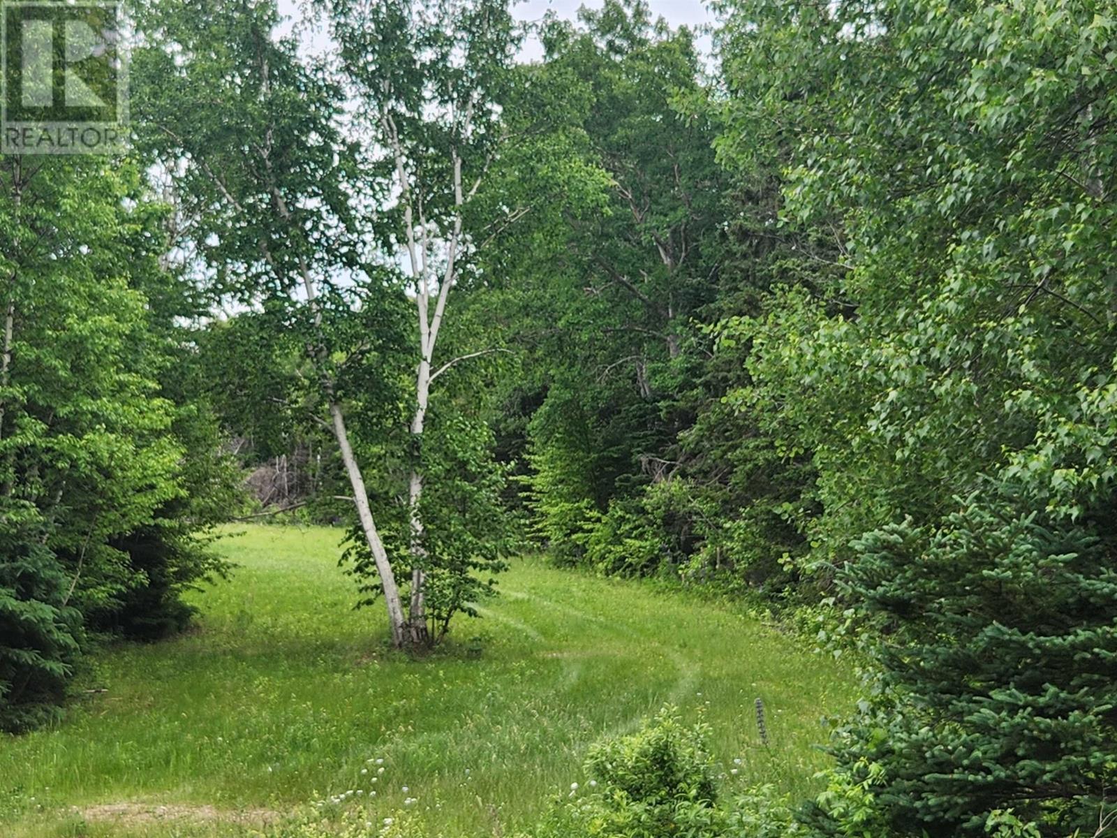 Acreage Gaspereaux Road, Gaspereaux, Prince Edward Island  C0A 1R0 - Photo 9 - 202515697