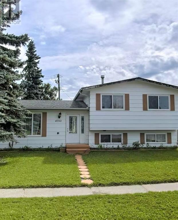 Property at 4703 55 Avenue image 1