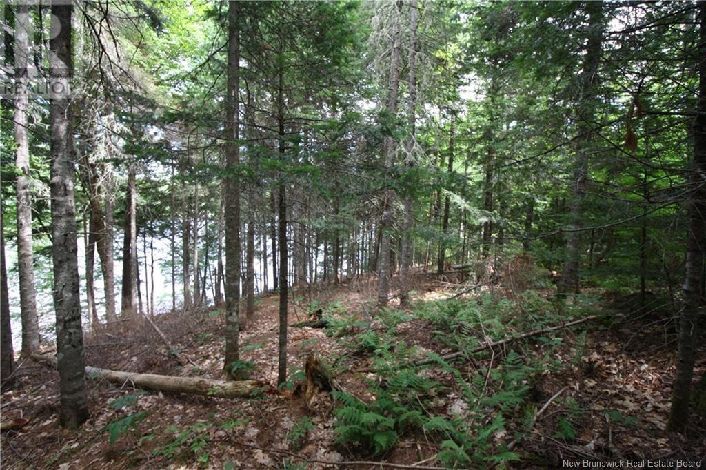 Property at 15-59 Bass River Point Route image 3