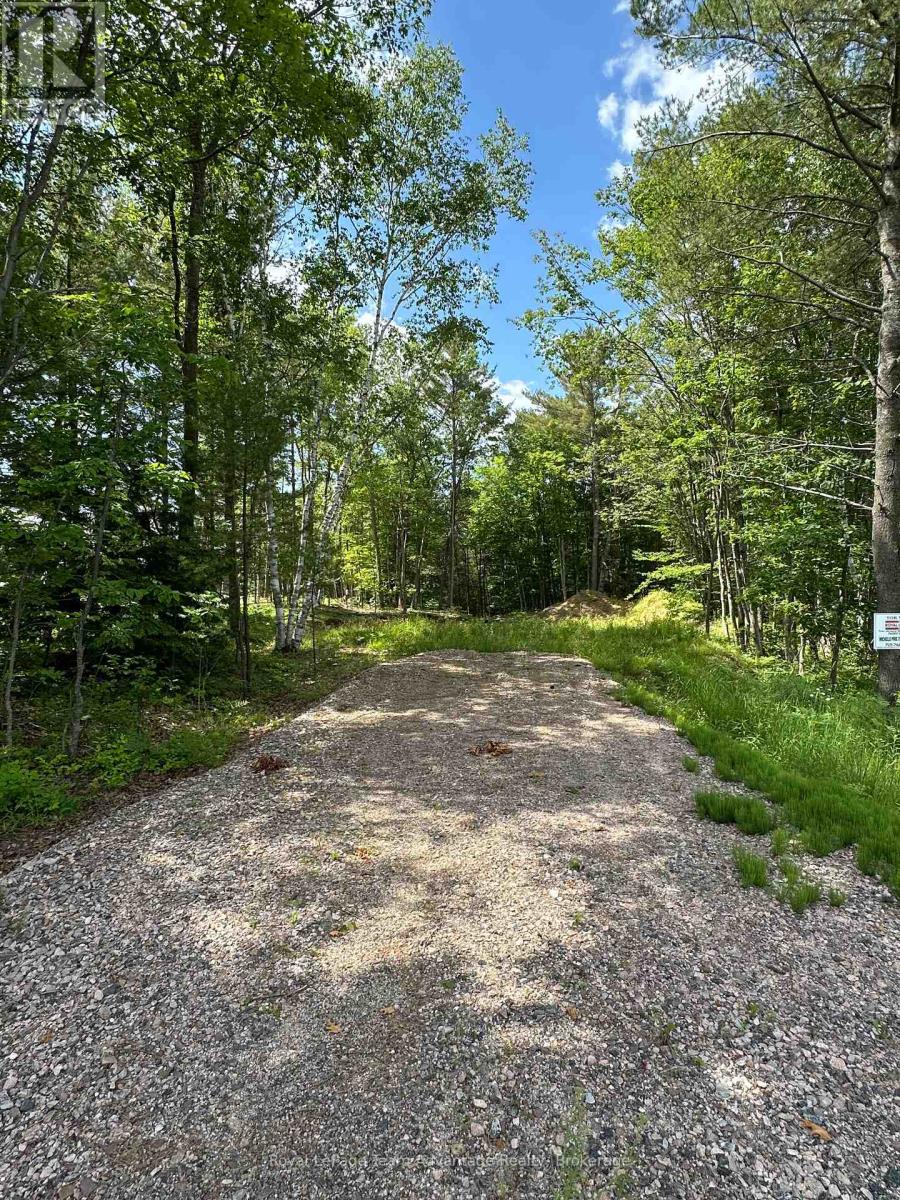 252 Nobel Road, Mcdougall, Ontario  P2A 1H0 - Photo 1 - X12244029