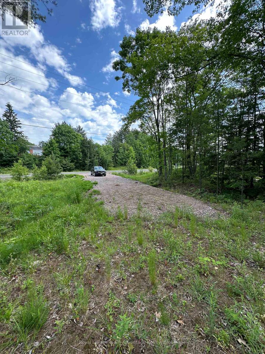 252 Nobel Road, Mcdougall, Ontario  P2A 1H0 - Photo 3 - X12244029