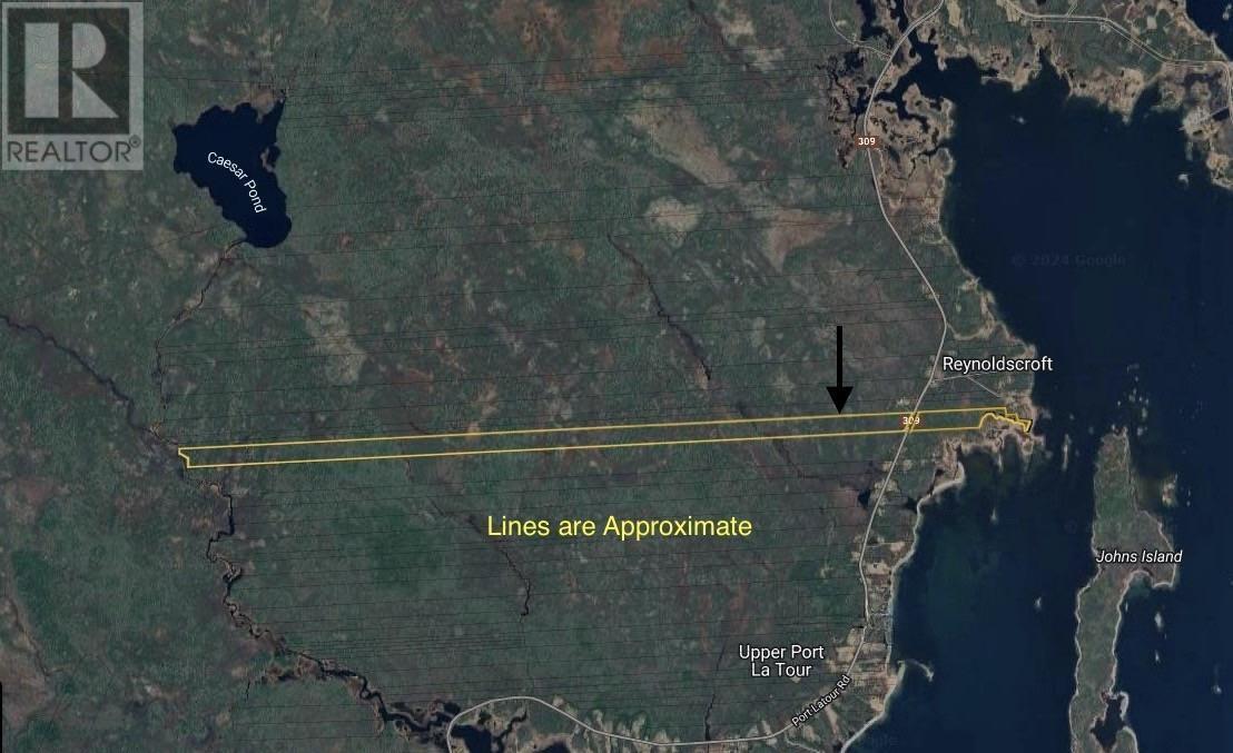Lots Port Latour Road, Reynoldscroft, Nova Scotia  B0W 1E0 - Photo 1 - 202423576