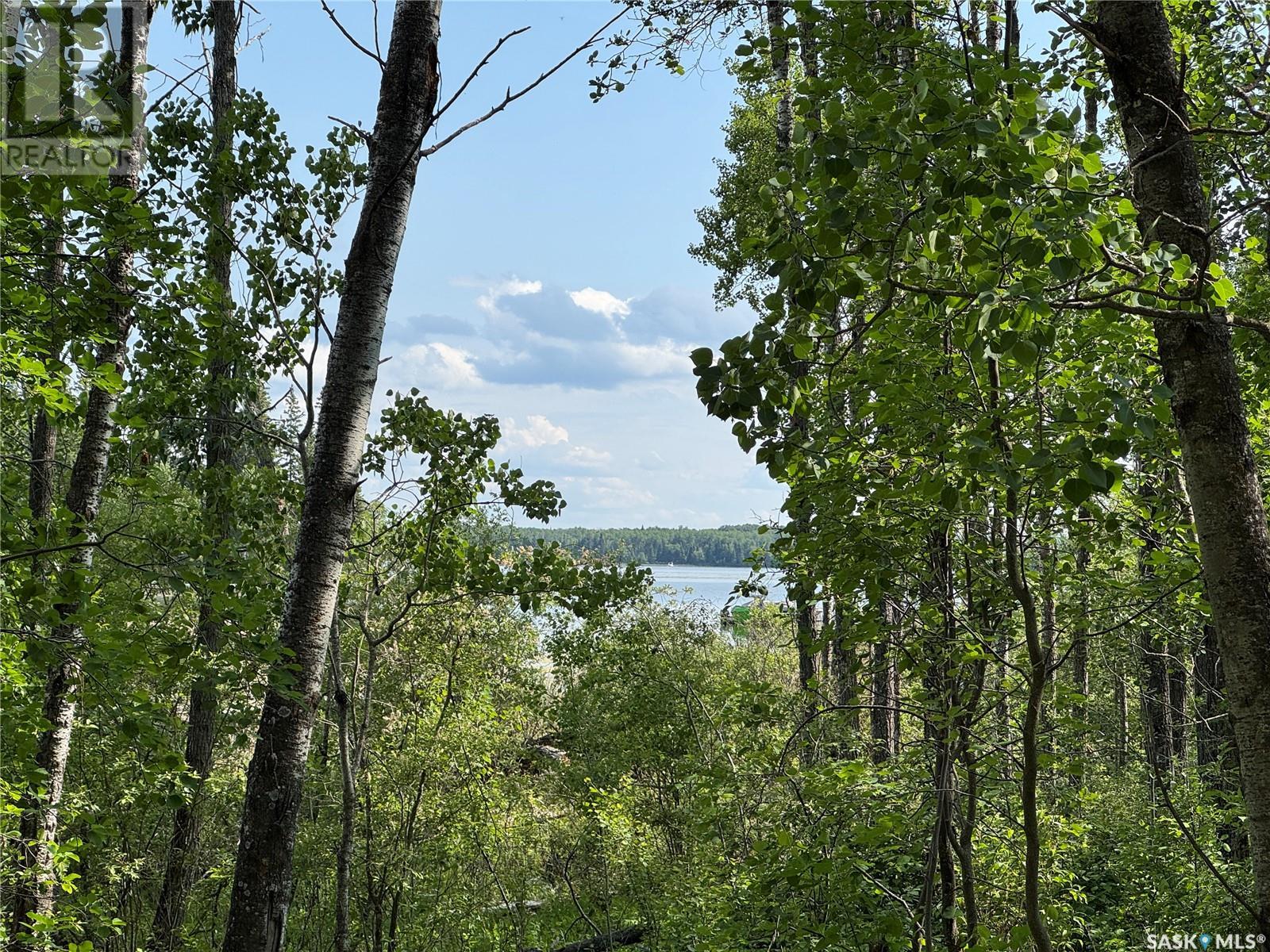 12 Misty Bay Drive, Big Shell, Saskatchewan  S0J 2G0 - Photo 10 - SK010336