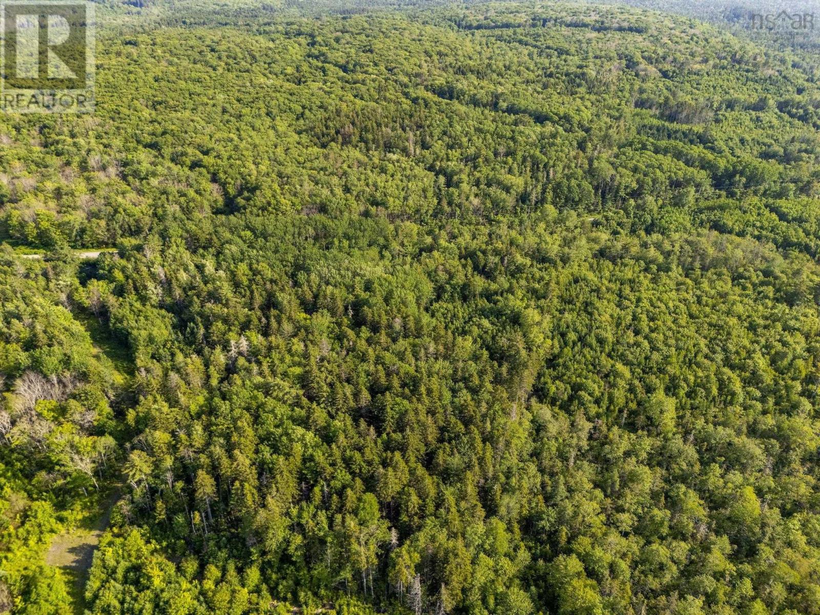 Lot Hectanooga Road, Hectanooga, Nova Scotia  B5A 5L7 - Photo 15 - 202408830