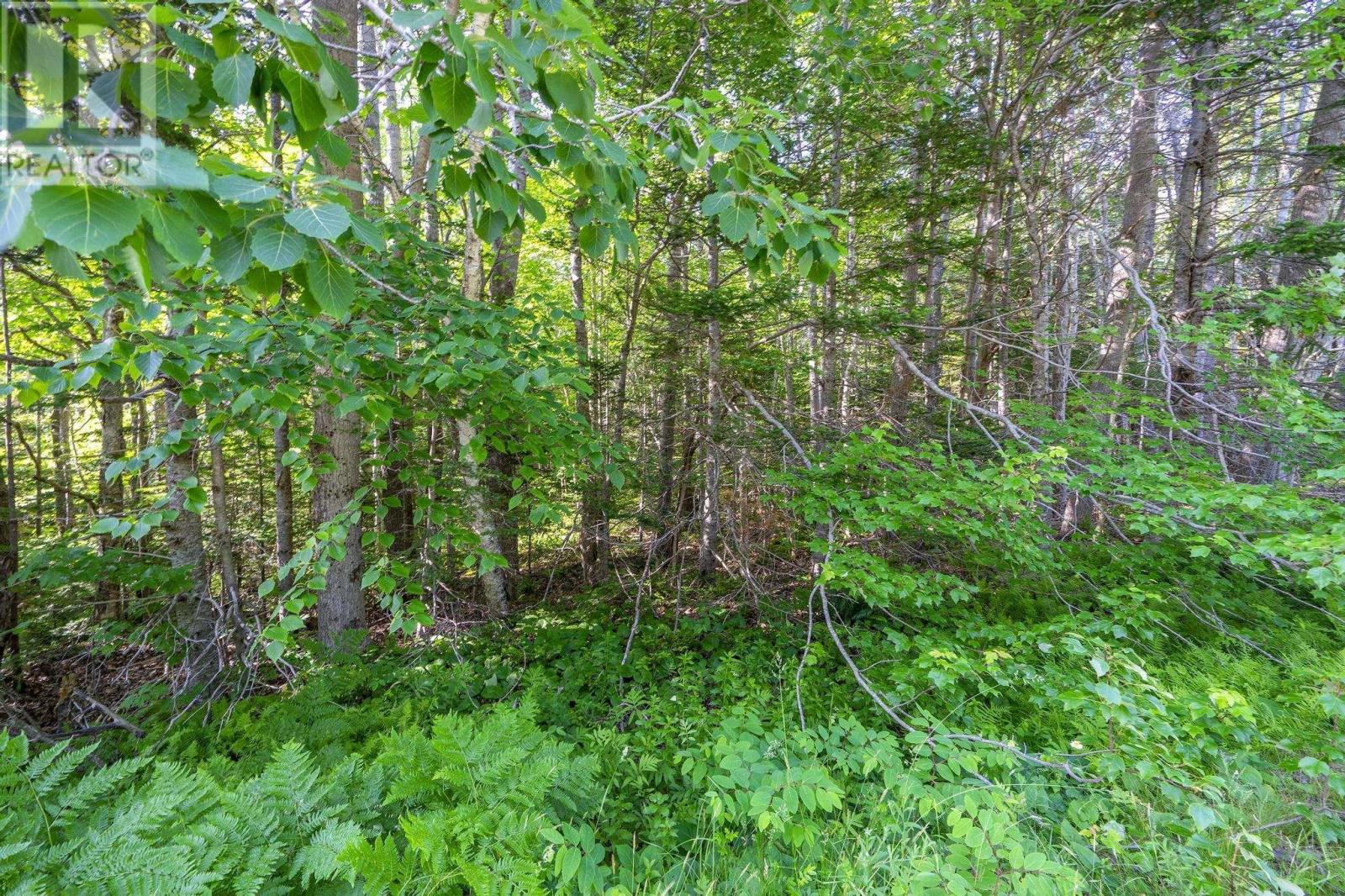Lot Hectanooga Road, Hectanooga, Nova Scotia  B5A 5L7 - Photo 32 - 202408830