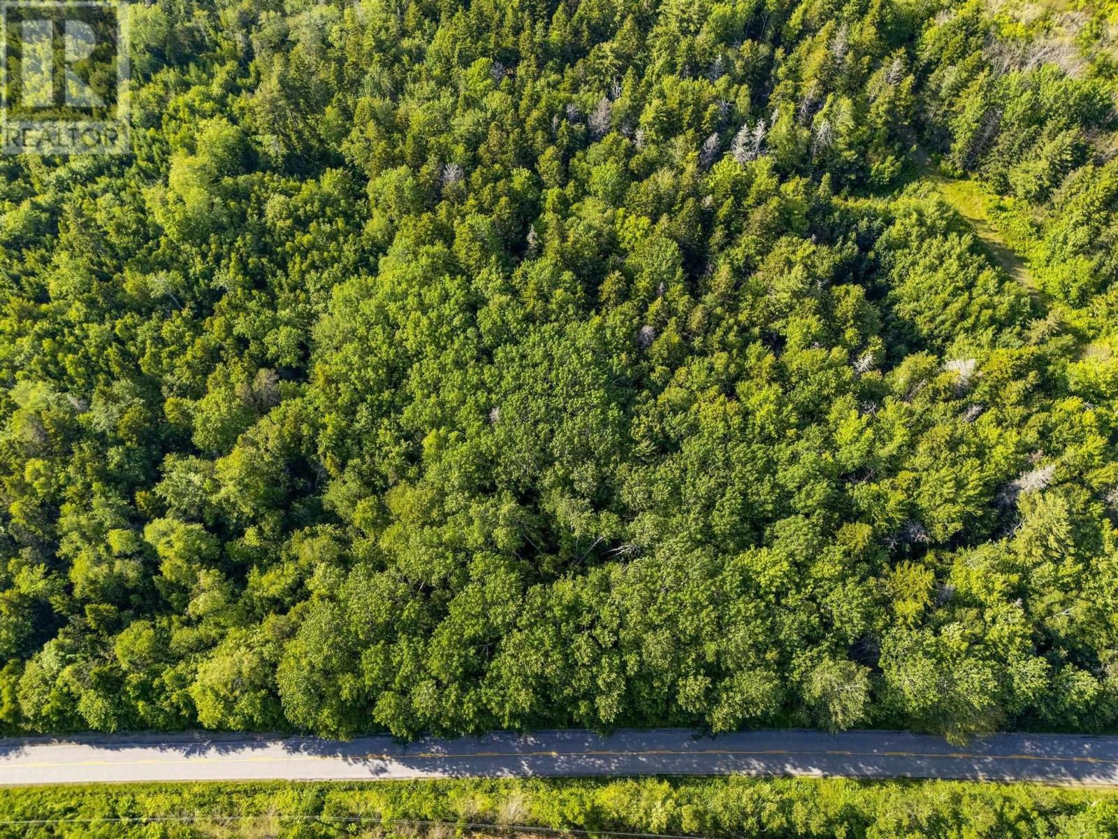 Lot Hectanooga Road, Hectanooga, Nova Scotia  B5A 5L7 - Photo 28 - 202408830