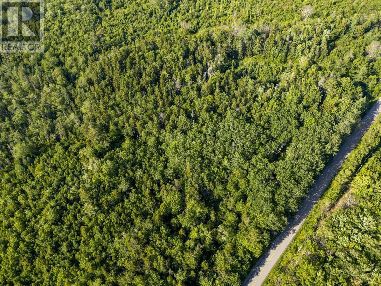 Lot Hectanooga Road, Hectanooga, Nova Scotia  B5A 5L7 - Photo 29 - 202408830