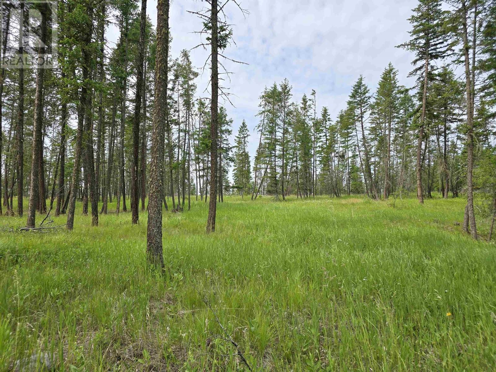 1650 Coyote Road, Williams Lake, British Columbia  V2G 4X8 - Photo 33 - R3019840