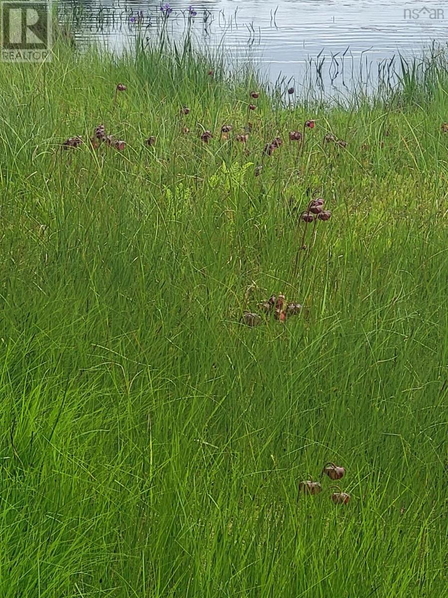 7219 Kemptown, Kemptown, Nova Scotia  B2N 5B1 - Photo 14 - 202515712