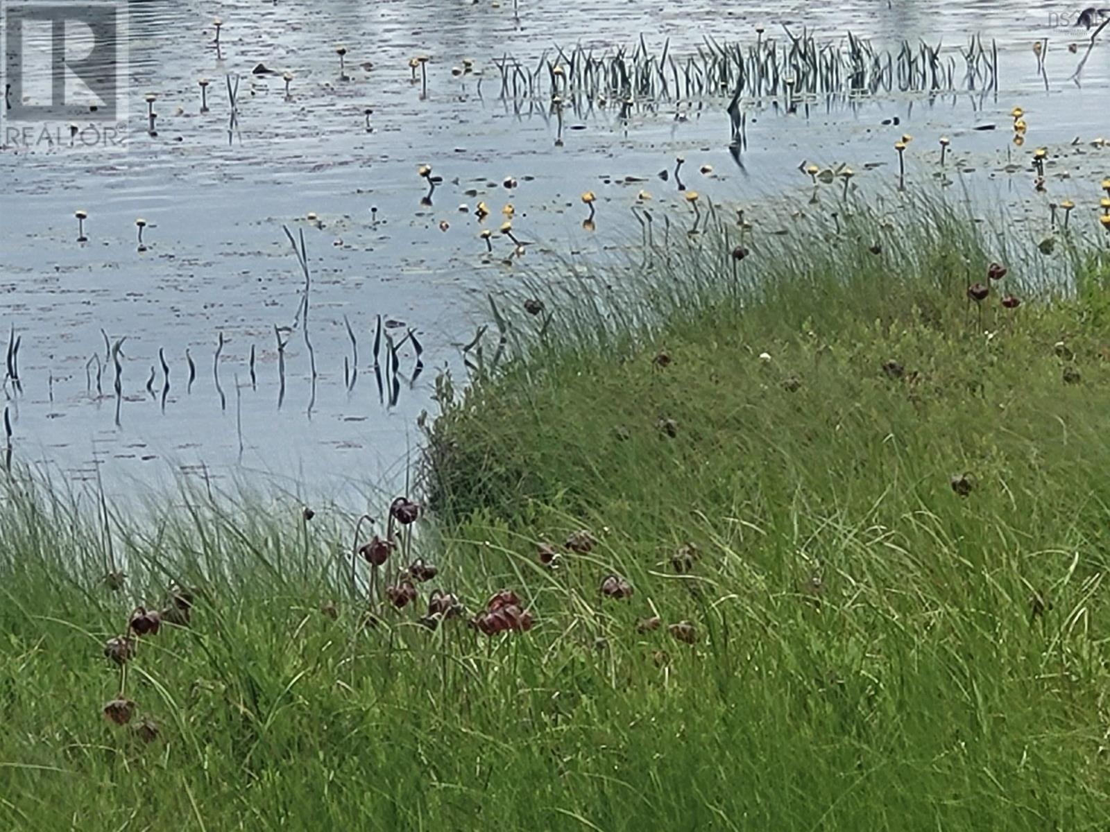 7219 Kemptown, Kemptown, Nova Scotia  B2N 5B1 - Photo 16 - 202515712