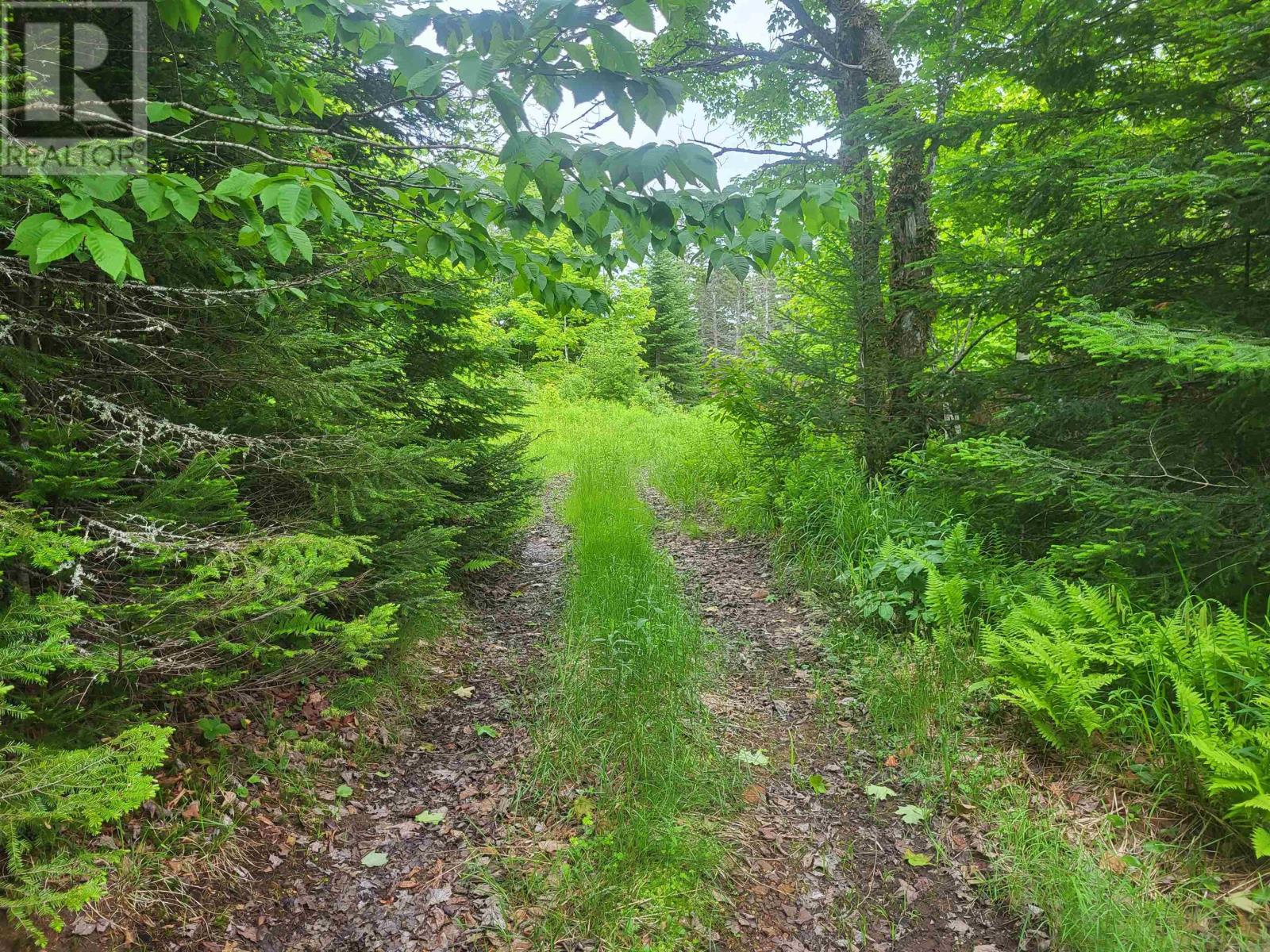 7219 Kemptown, Kemptown, Nova Scotia  B2N 5B1 - Photo 20 - 202515712