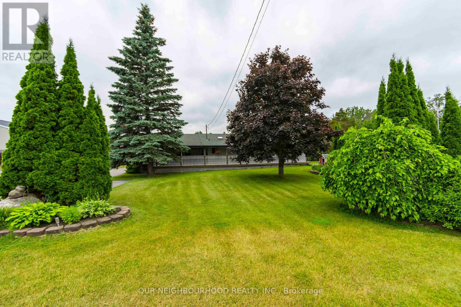 Property at 2656 COUNTY ROAD 40 image 2