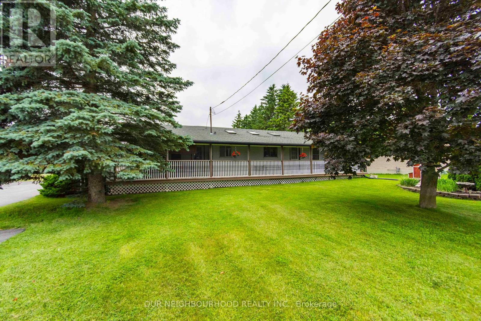 Property at 2656 COUNTY ROAD 40 image 3