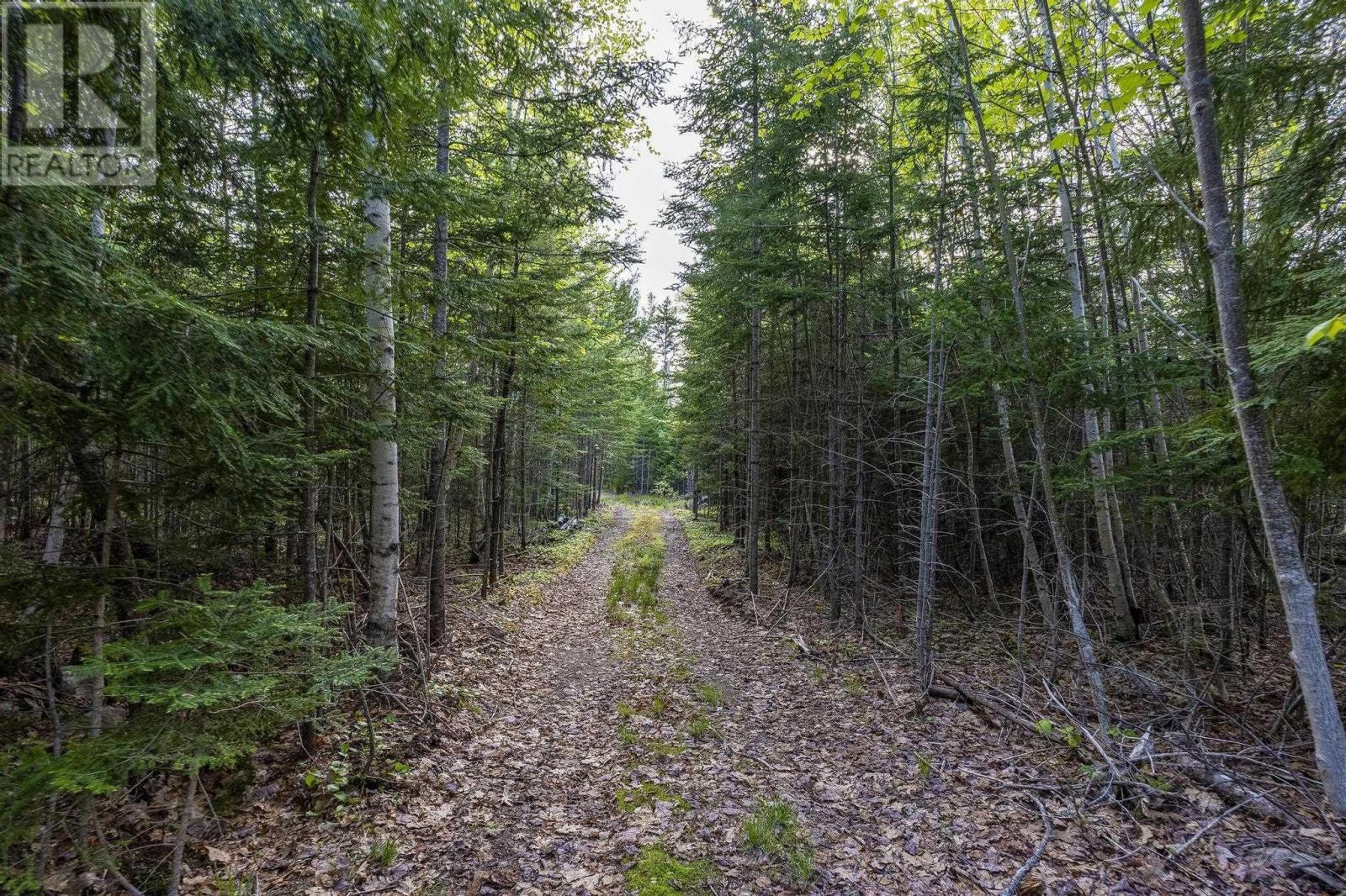 519 Adams Road, New Albany, Nova Scotia  B0S 1P0 - Photo 18 - 202512867
