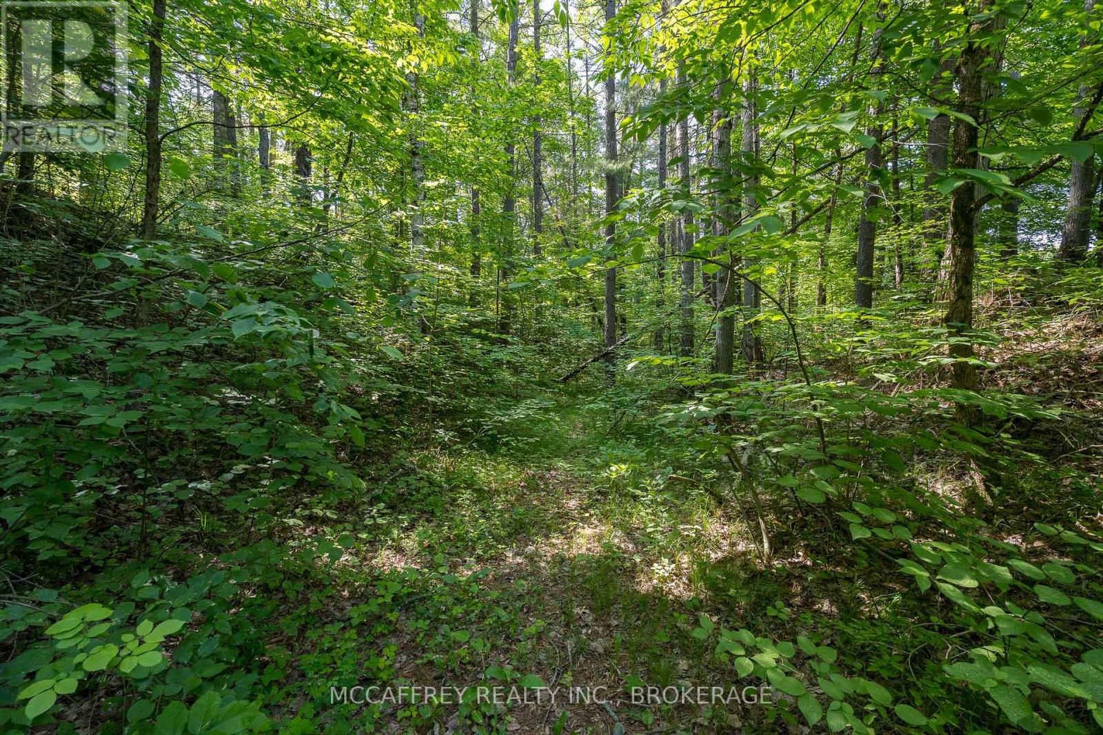 Pt Lt 4 Con 7 Kaladar County Rd 41 Road, Addington Highlands, Ontario  K0H 1Z0 - Photo 10 - X12244551