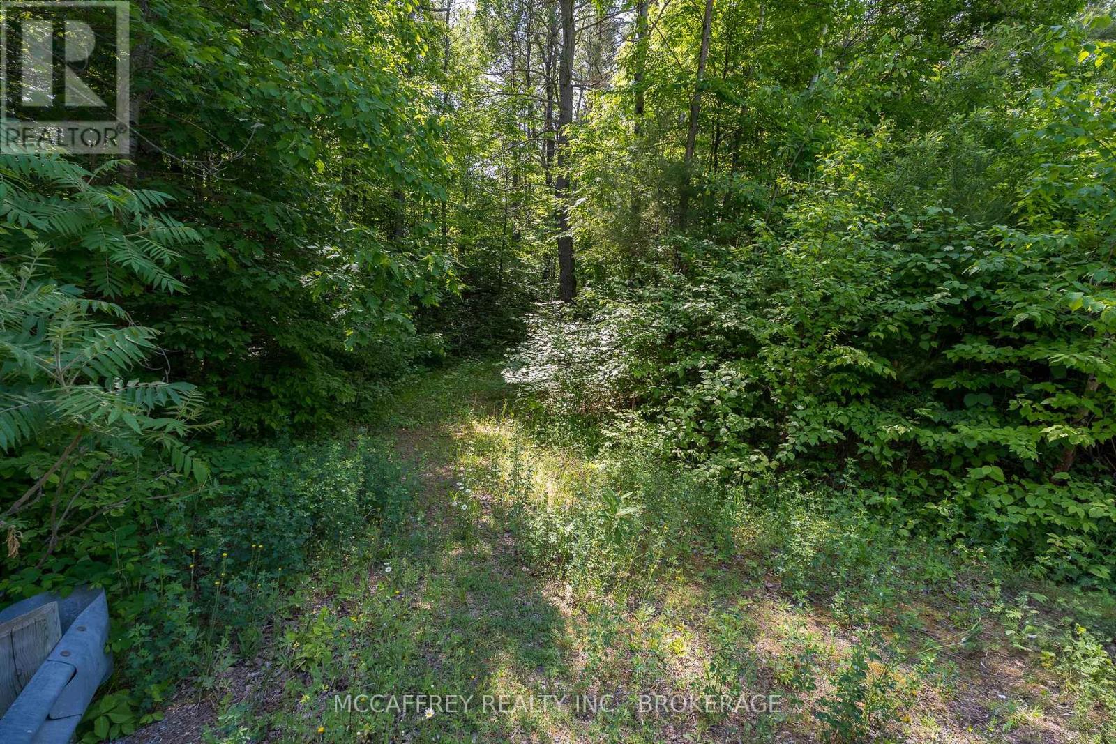 Pt Lt 4 Con 7 Kaladar County Rd 41 Road, Addington Highlands, Ontario  K0H 1Z0 - Photo 11 - X12244551