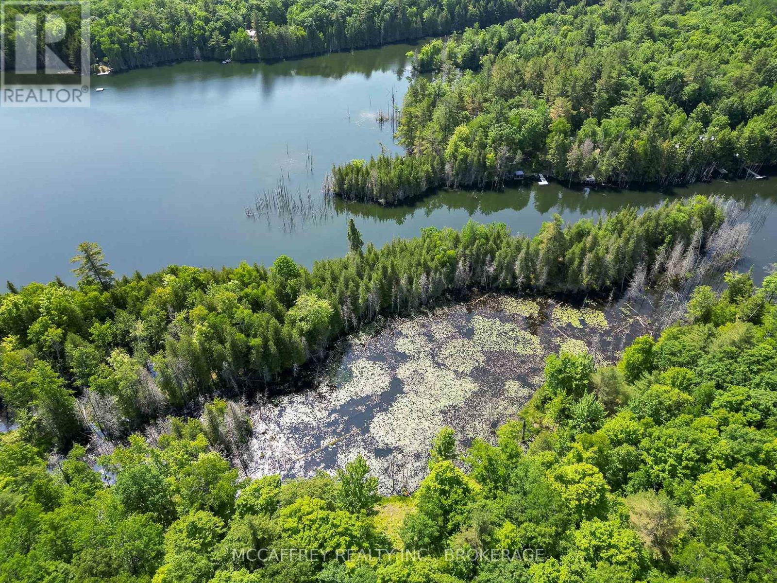 Pt Lt 4 Con 7 Kaladar County Rd 41 Road, Addington Highlands, Ontario  K0H 1Z0 - Photo 21 - X12244551
