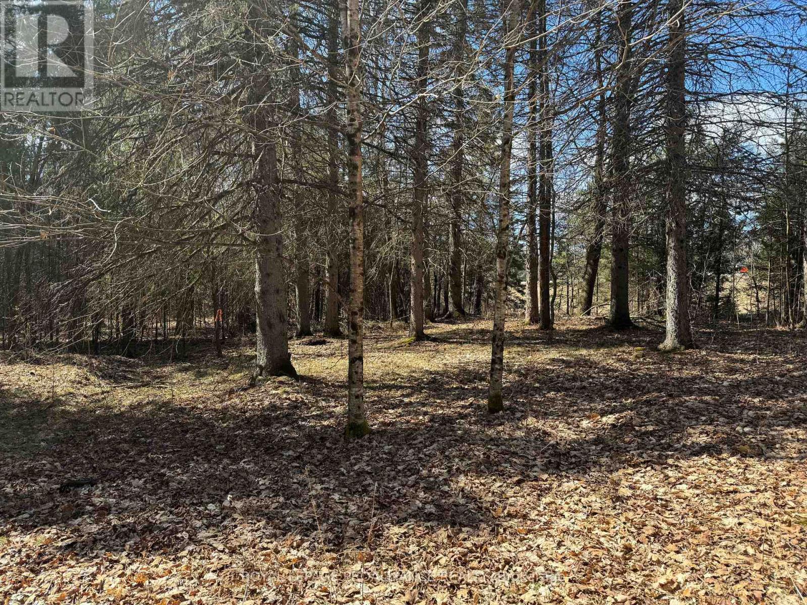 1972 Weslemkoon Lake Road, Tudor And Cashel, Ontario  K0L 1W0 - Photo 12 - X12244624