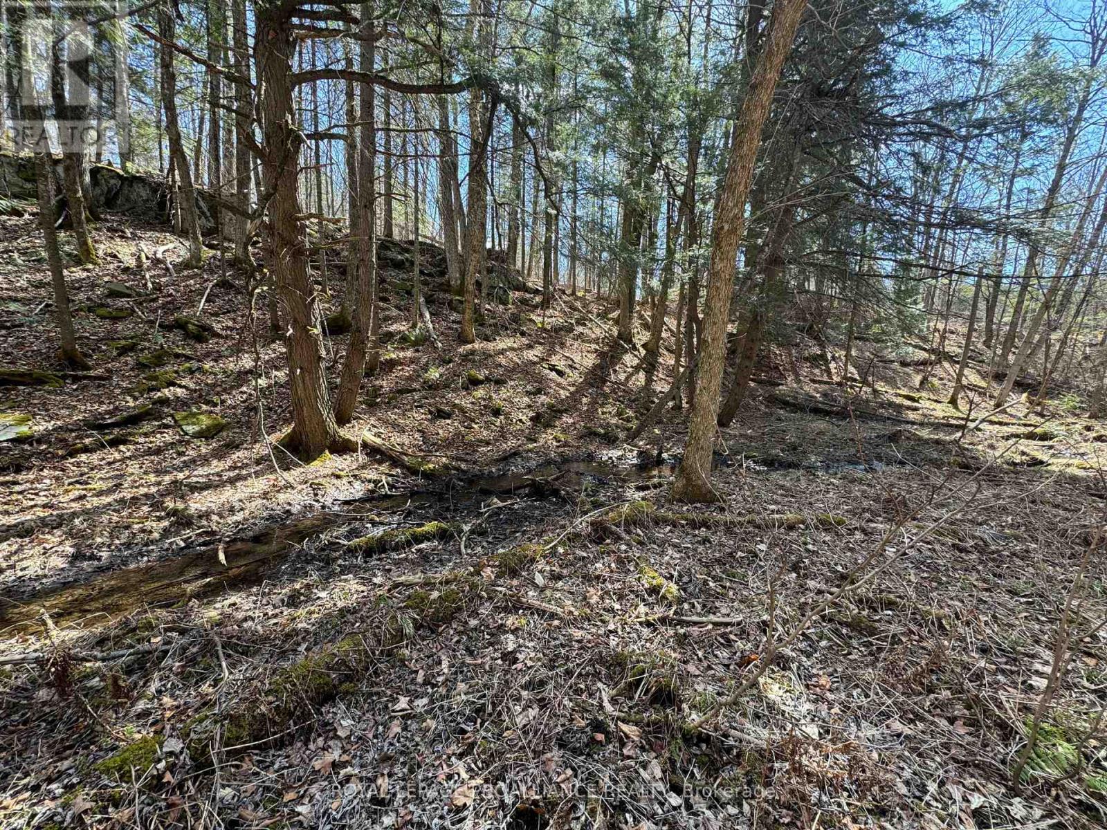 1972 Weslemkoon Lake Road, Tudor And Cashel, Ontario  K0L 1W0 - Photo 17 - X12244624