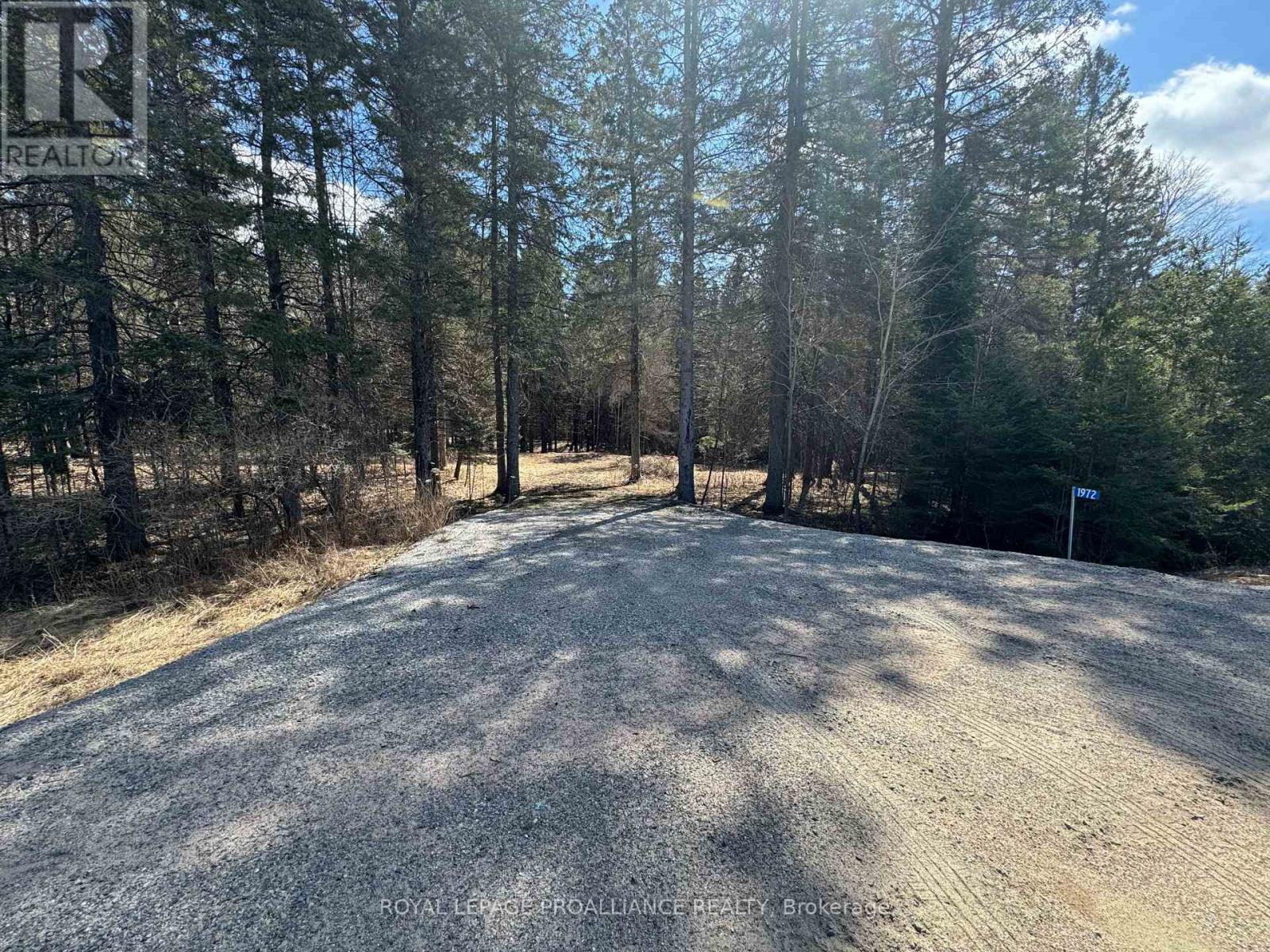 1972 Weslemkoon Lake Road, Tudor And Cashel, Ontario  K0L 1W0 - Photo 3 - X12244624