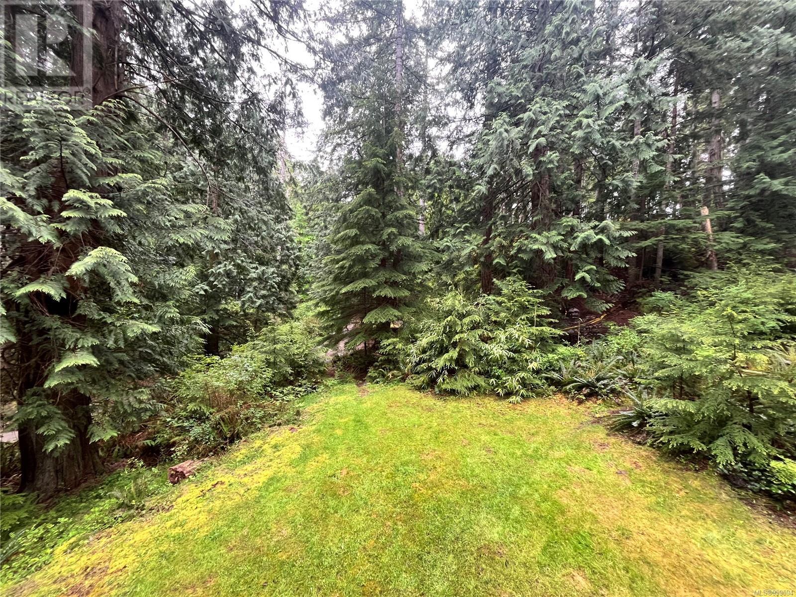 421 Whaletown Rd, Cortes Island, British Columbia  V0P 1Z0 - Photo 16 - 999694