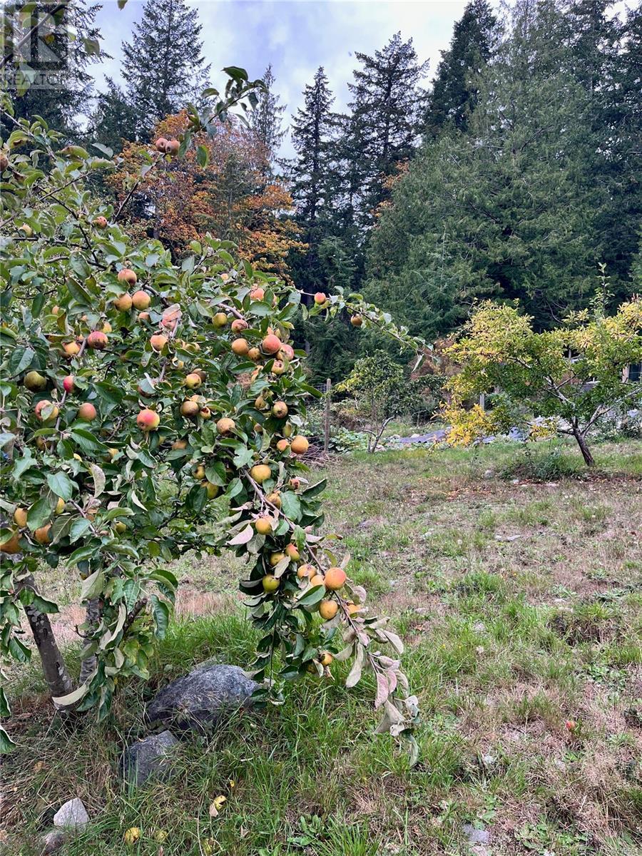 421 Whaletown Rd, Cortes Island, British Columbia  V0P 1Z0 - Photo 23 - 999694
