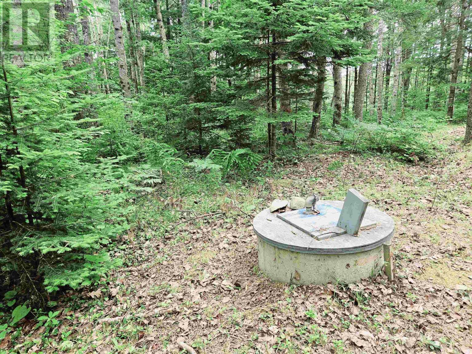 Lot Whiteburn Road, Whiteburn Mines, Nova Scotia  B0T 1B0 - Photo 23 - 202515723