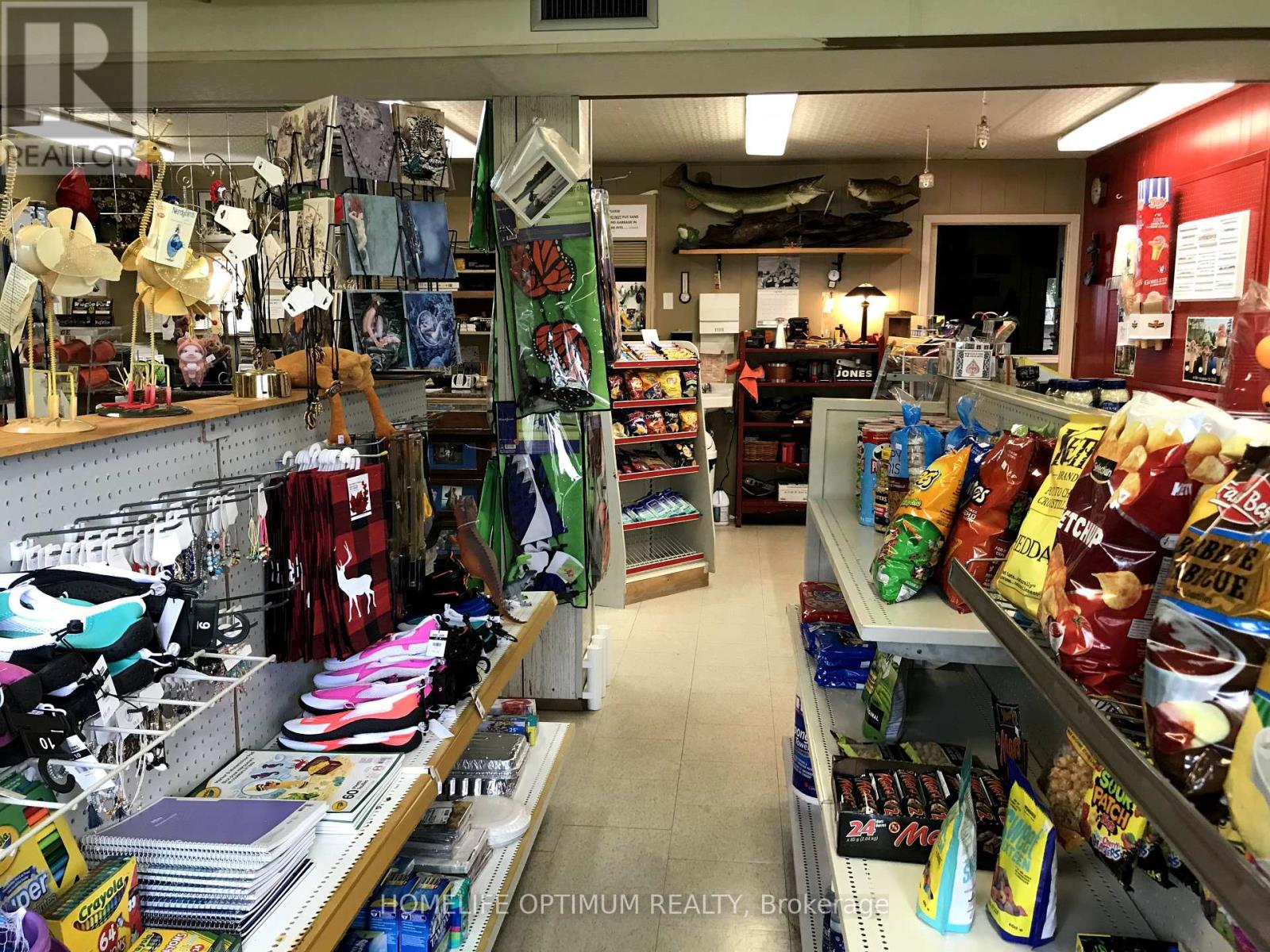 13613 60 Highway, North Algona Wilberforce, Ontario  K0J 1X0 - Photo 36 - X12244577