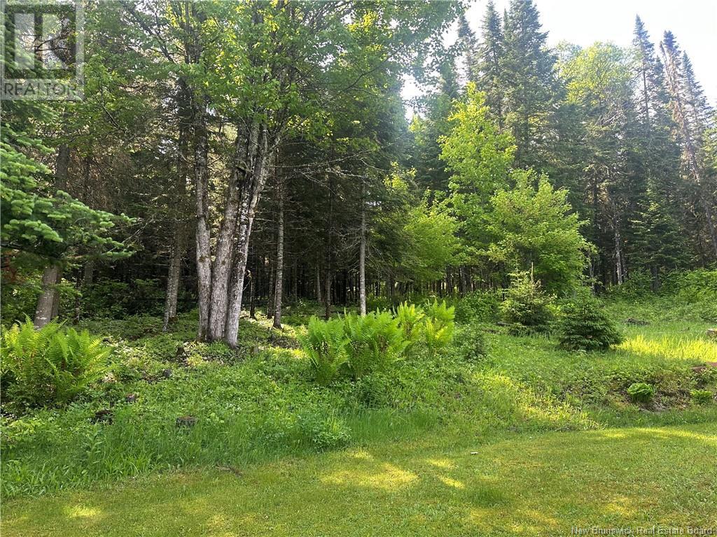 4098 385 Route, Nictau, New Brunswick  E7H 3B1 - Photo 29 - NB114431