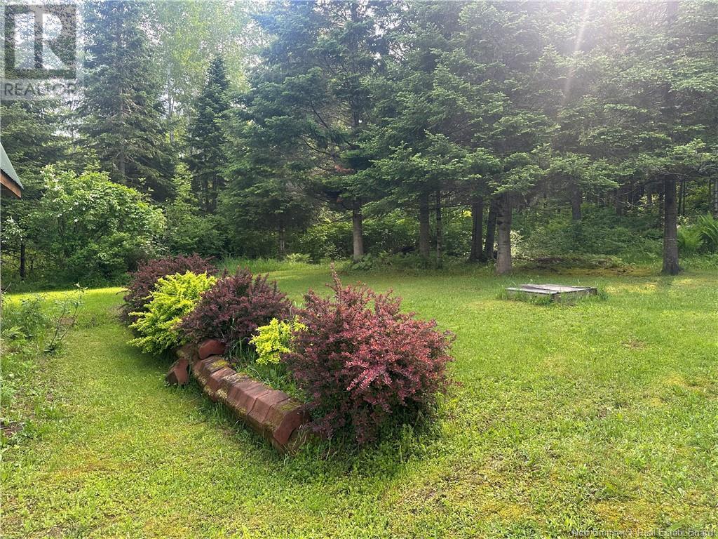 4098 385 Route, Nictau, New Brunswick  E7H 3B1 - Photo 6 - NB114431