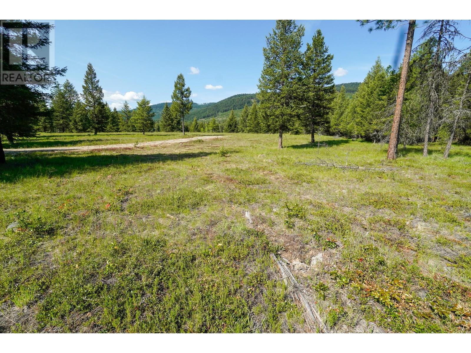 Lot 7 Mary G Road, Beaverdell, British Columbia  V0H 1A0 - Photo 10 - 10351855