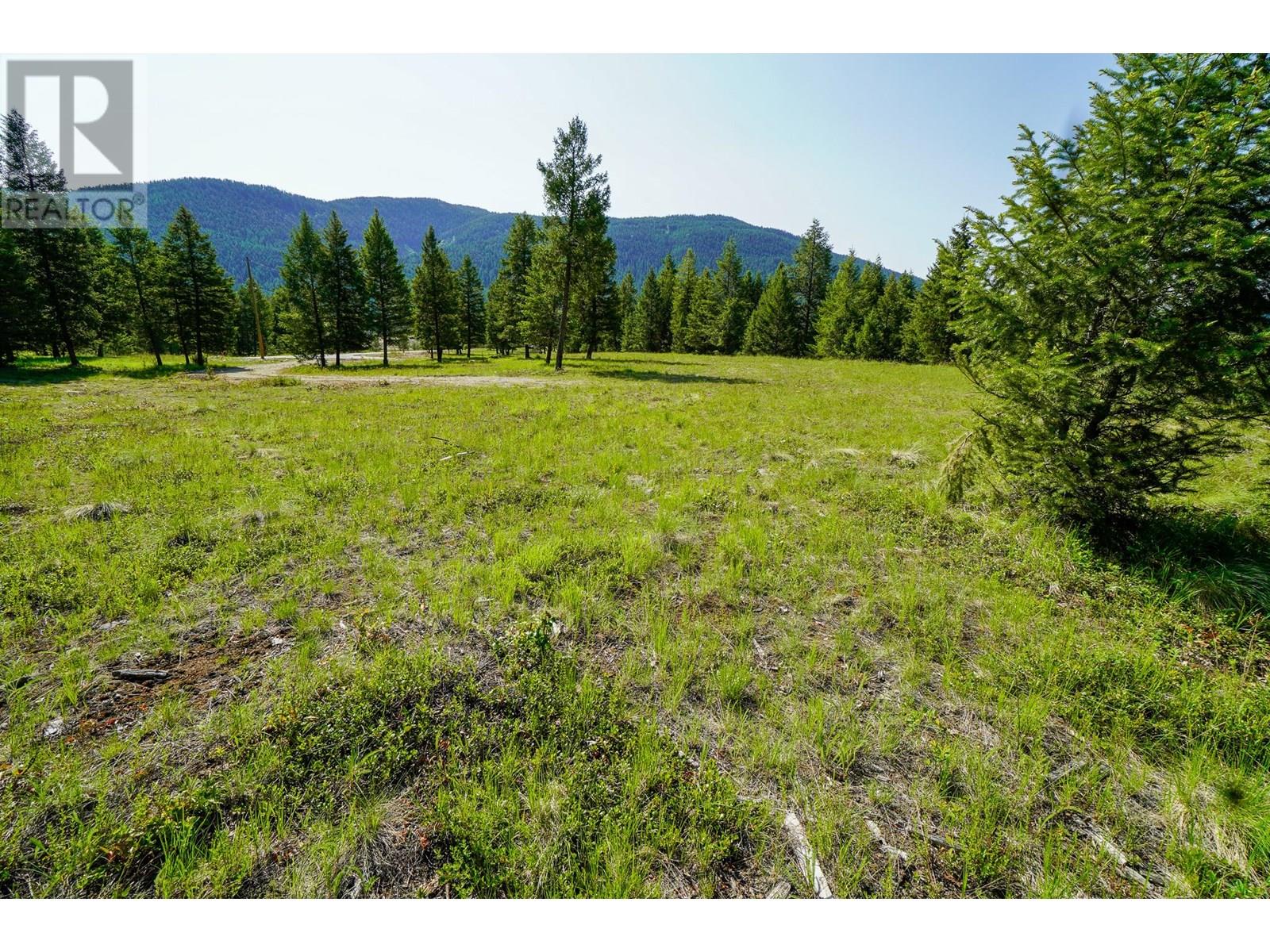 Lot 7 Mary G Road, Beaverdell, British Columbia  V0H 1A0 - Photo 9 - 10351855