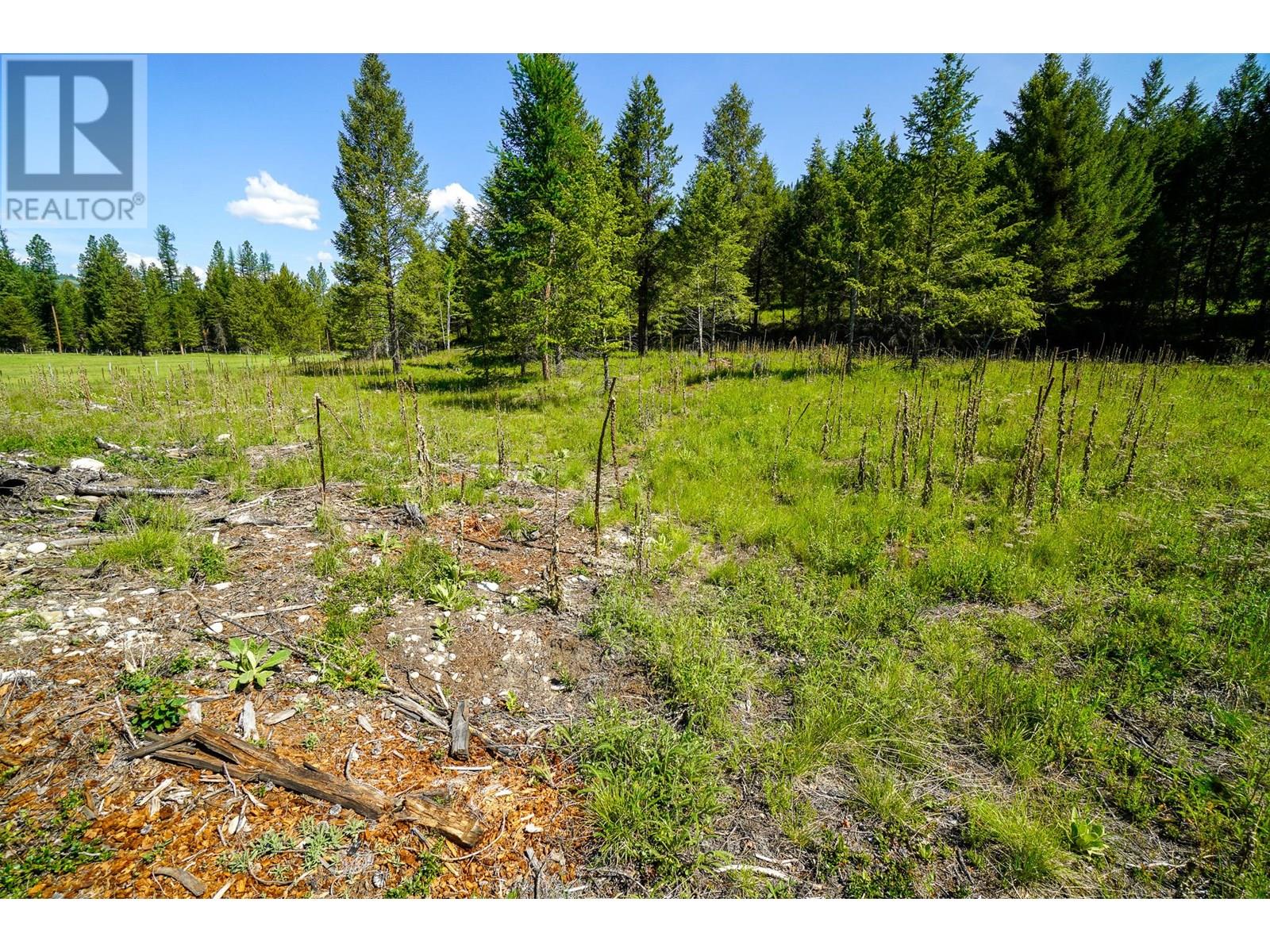 Lot 7 Mary G Road, Beaverdell, British Columbia  V0H 1A0 - Photo 12 - 10351855