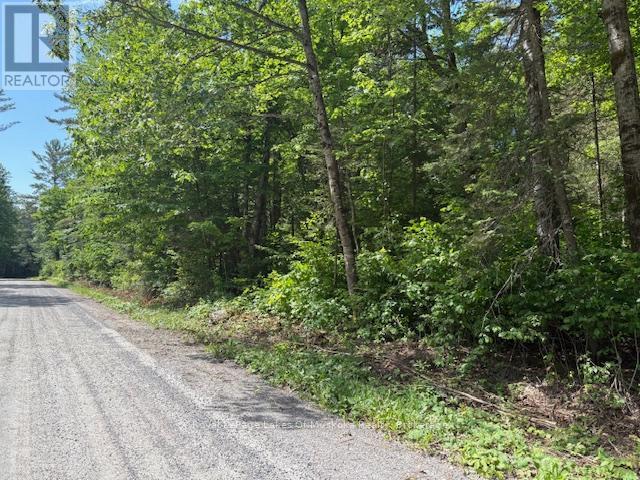 0 Forest Lake Road, Joly, Ontario  P0A 1Z0 - Photo 2 - X12245108