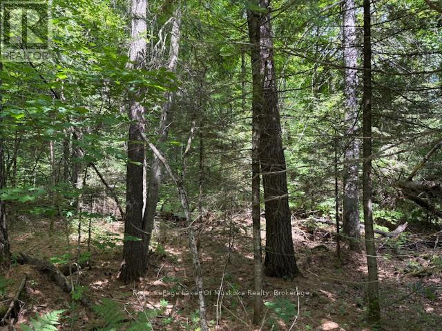 0 Forest Lake Road, Joly, Ontario  P0A 1Z0 - Photo 5 - X12245108