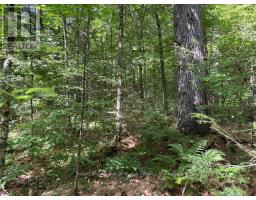 0 Forest Lake Road, Sundridge, Ca