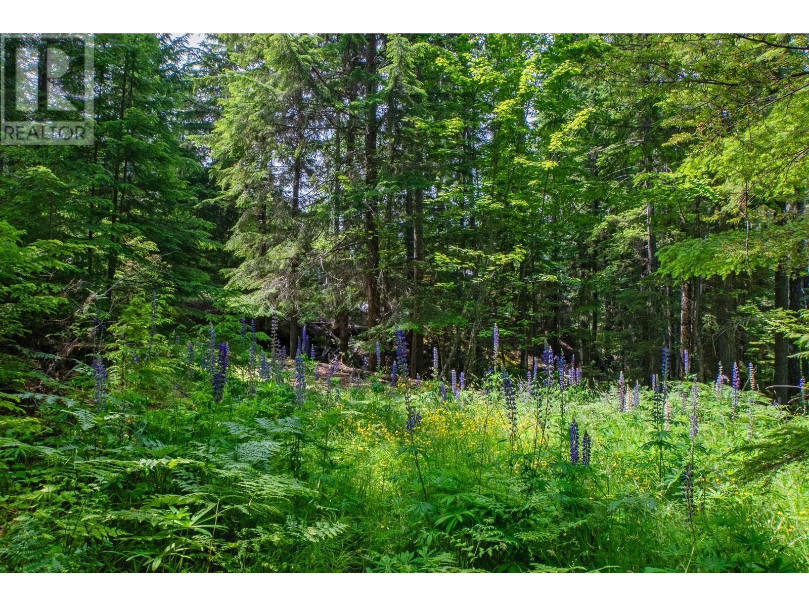 912 Riondel Road, Riondel, British Columbia  V0B 2B0 - Photo 77 - 10352341
